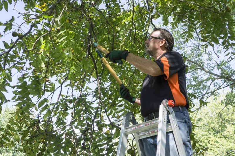 Tree Pruning in Progress