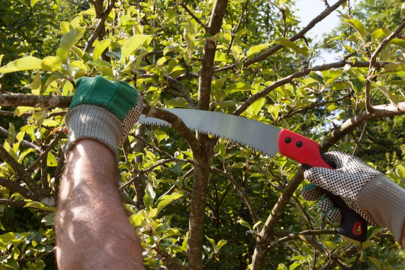 Pruning and Shaping